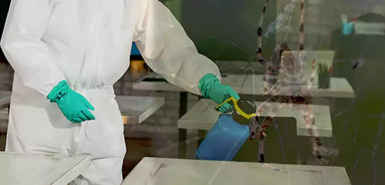 Why Buyers Still Want Homes With Pest Infestations in Kuna, ID?
