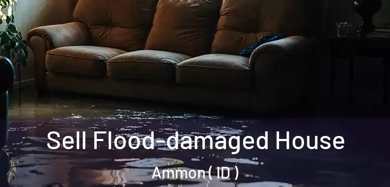  Sell Flood-damaged House Ammon ( ID )