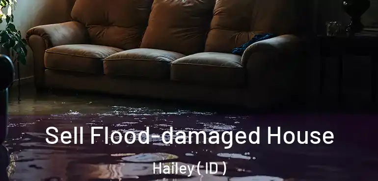  Sell Flood-damaged House Hailey ( ID )