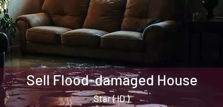  Sell Flood-damaged House Star ( ID )