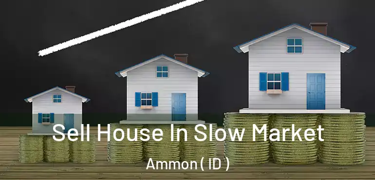  Sell House In Slow Market Ammon ( ID )