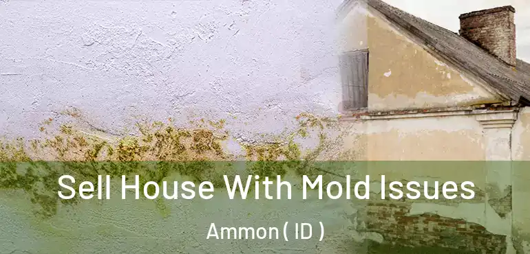  Sell House With Mold Issues Ammon ( ID )