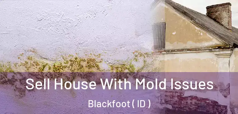  Sell House With Mold Issues Blackfoot ( ID )