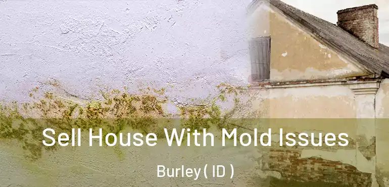  Sell House With Mold Issues Burley ( ID )