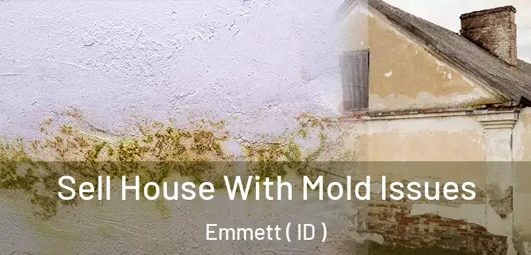  Sell House With Mold Issues Emmett ( ID )