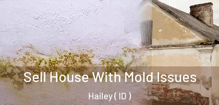  Sell House With Mold Issues Hailey ( ID )