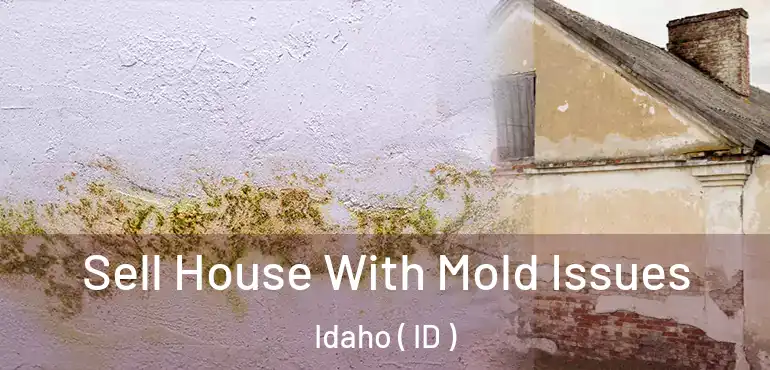  Sell House With Mold Issues Idaho ( ID )