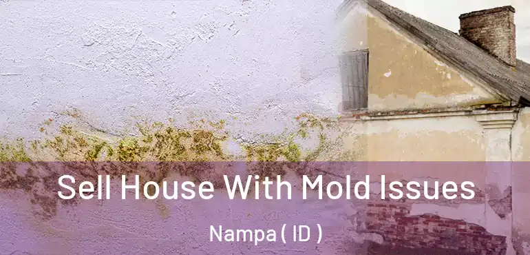  Sell House With Mold Issues Nampa ( ID )