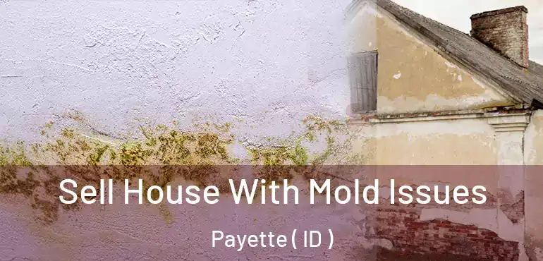  Sell House With Mold Issues Payette ( ID )