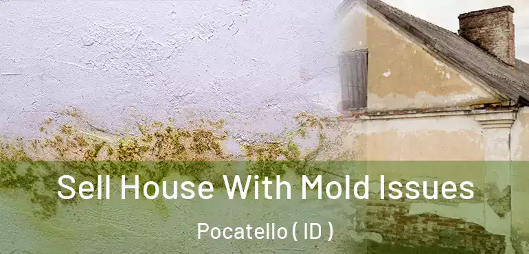  Sell House With Mold Issues Pocatello ( ID )