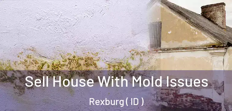  Sell House With Mold Issues Rexburg ( ID )