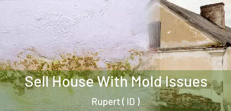  Sell House With Mold Issues Rupert ( ID )
